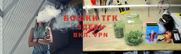 сатива Осташков
