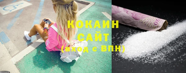 индика Абинск