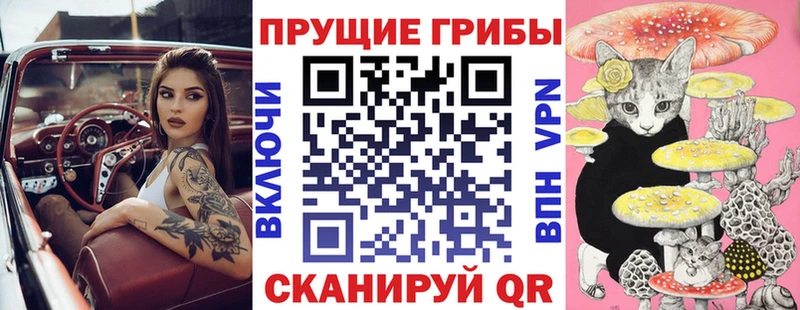 Галлюциногенные грибы прущие грибы  дарнет шоп  Сычёвка 